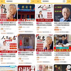 拆解小红书宝宝起名虚拟副业项目，一条龙实操玩法分享给你（教程+软件）-阳知网创资源库