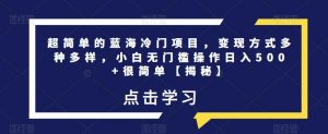 超简单的蓝海冷门项目，变现方式多种多样，小白无门槛操作日入500+很简单【揭秘】-阳知网创资源库