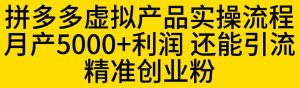 拼多多虚拟产品实操流程，月产5000+利润，还能引流精准创业粉【揭秘】-阳知网创资源库