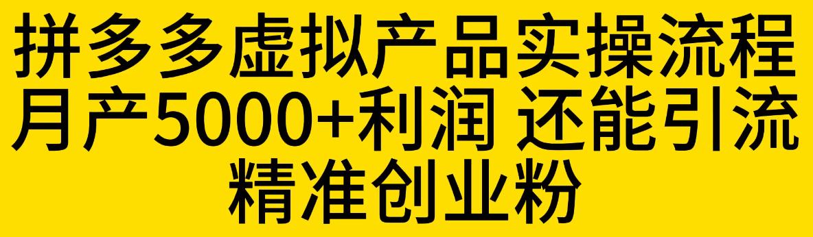 拼多多虚拟产品实操流程，月产5000+利润，还能引流精准创业粉【揭秘】-阳知网创资源库