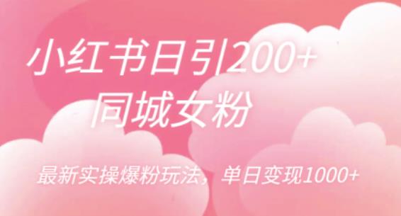 小红书日引200+同城女粉，最新实操爆粉玩法，单日变现1000+【揭秘】-阳知网创资源库