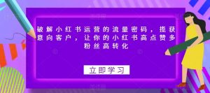 破解小红书运营的流量密码,揽获意向客户,让你的小红书高点赞多粉丝高转化-阳知网创资源库