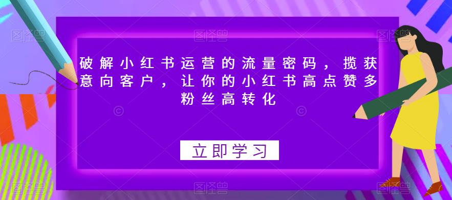 破解小红书运营的流量密码,揽获意向客户,让你的小红书高点赞多粉丝高转化-阳知网创资源库