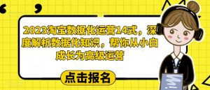 2023淘宝数据化运营14式,深度解析数据化知识,帮你从小白成长为高级运营-阳知网创资源库