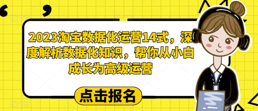 2023淘宝数据化运营14式,深度解析数据化知识,帮你从小白成长为高级运营-阳知网创资源库