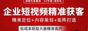 流量为王,企业短视频精准获客,手把手分享实战经验,助力企业低成本获客-阳知网创资源库