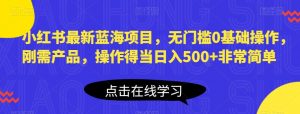 小红书最新蓝海项目,无门槛0基础操作,刚需产品,操作得当日入500+非常简单【揭秘】-阳知网创资源库