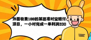 外面收费188的美团准时宝赔付项目,一小时完成一单利润200【仅揭秘】-阳知网创资源库