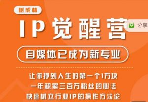 树成林·IP觉醒营,快速树立行业IP的操作方法论,让你赚到人生的第一个1万块-阳知网创资源库