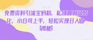 免费资料引流宝妈粉,私域高利润转化,小白可上手,轻松实现日入600+【揭秘】-阳知网创资源库