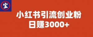 宝哥小红书引流创业粉,日赚3000+【揭秘】-阳知网创资源库