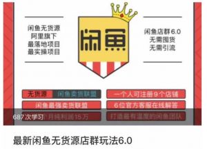 闲鱼无货源店群玩法6.0,无需囤货,无需引流,两个月盈利18W的核心秘籍,所有细节一清二楚-阳知网创资源库