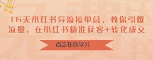 16天小红书导流接单营,教你引爆流量,在小红书精准获客+转化成交-阳知网创资源库