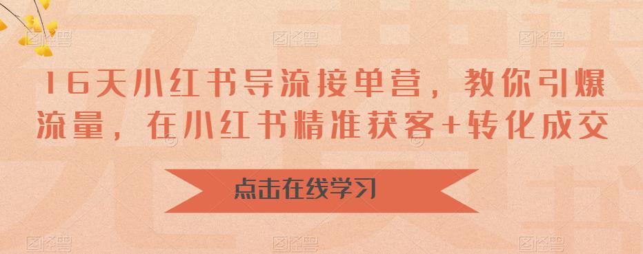 16天小红书导流接单营,教你引爆流量,在小红书精准获客+转化成交-阳知网创资源库