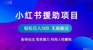 小红书援助项目新奇玩法,简单暴力,无脑搬运轻松日入500【揭秘】-阳知网创资源库
