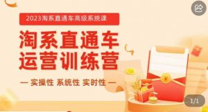 冠东·2023淘系直通车高级系统课,实操性,系统性,实时性,直通车完整体系教学-阳知网创资源库