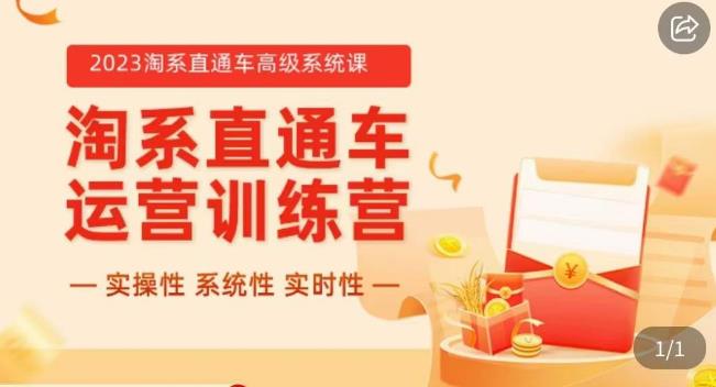 冠东·2023淘系直通车高级系统课,实操性,系统性,实时性,直通车完整体系教学-阳知网创资源库
