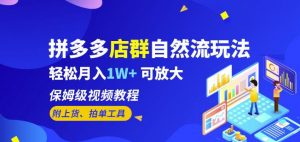 拼多多店群自然流玩法，轻松月入1W+保姆级视频教程（附上货、拍单工具）-阳知网创资源库