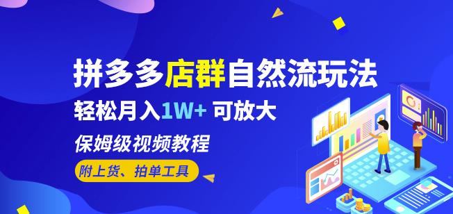 拼多多店群自然流玩法，轻松月入1W+保姆级视频教程（附上货、拍单工具）-阳知网创资源库