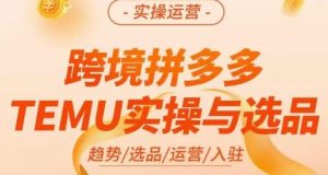 伍跃·跨境拼多多TEMU实操与选品,趋势/选品/运营/入住(27节完整)-阳知网创资源库