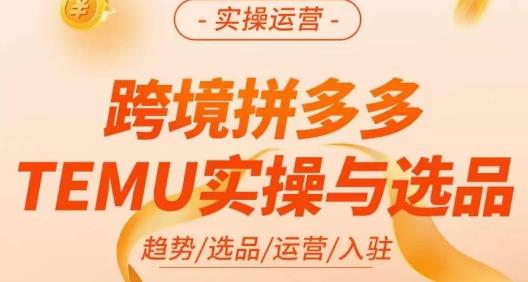 伍跃·跨境拼多多TEMU实操与选品,趋势/选品/运营/入住(27节完整)-阳知网创资源库