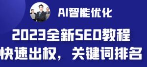 2023最新网站AI智能优化SEO教程,简单快速出权重,AI自动写文章+AI绘画配图-阳知网创资源库