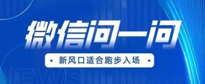 全网首发微信问一问新风口变现项目(价值1999元)【揭秘】-阳知网创资源库