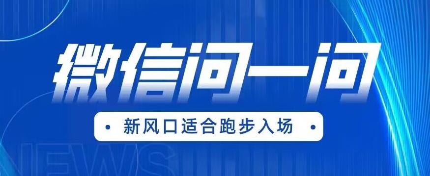 全网首发微信问一问新风口变现项目(价值1999元)【揭秘】-阳知网创资源库