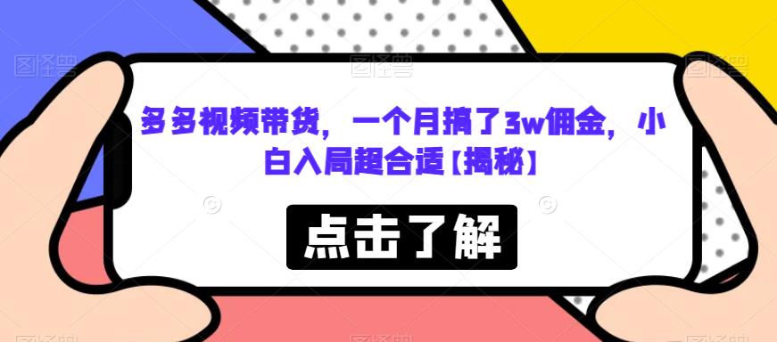 多多视频带货,一个月搞了3w佣金,小白入局超合适【揭秘】-阳知网创资源库