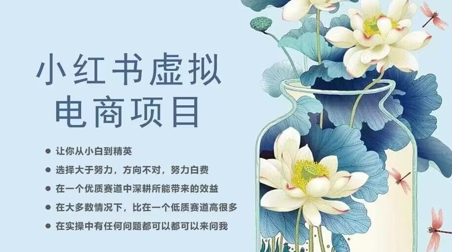 小红书虚拟电商从0到1,让你从小白到精英(20节实操课程)-阳知网创资源库