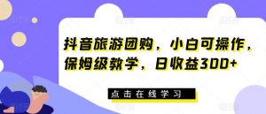 抖音旅游团购,小白可操作,保姆级教学,日收益300+【揭秘】-阳知网创资源库
