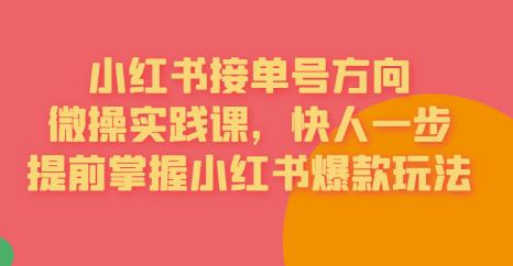 接单号方向·小红书微操实践课,快人一步,提前掌握小红书爆款玩法-阳知网创资源库