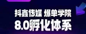 抖鑫传媒-爆单学院8.0孵化体系，让80%以上达人都能运营一个稳定变现的账号，操作简单，一部手机就能做-阳知网创资源库