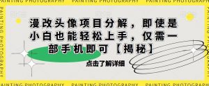 漫改头像项目分解,即使是小白也能轻松上手,仅需一部手机即可【揭秘】-阳知网创资源库