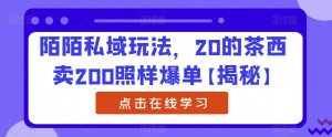 陌陌私域玩法,20的茶西卖200照样爆单【揭秘】-阳知网创资源库