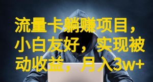 流量卡躺赚项目,小白友好,开设后台,实现被动收益,只要出卡,就能一直赚钱,利润高昂【揭秘】-阳知网创资源库
