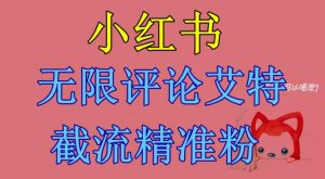 小红书无限评论艾特截流精准粉（软件+教程）-阳知网创资源库