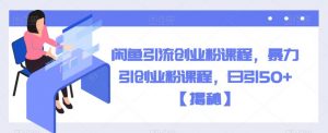 闲鱼引流创业粉课程，暴力引创业粉课程，日引50+【揭秘】-阳知网创资源库