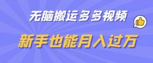 无脑搬运多多视频,新手也能月入过万【揭秘】-阳知网创资源库