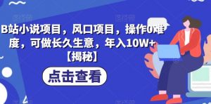 B站小说项目,风口项目,操作0难度,可做长久生意,年入10W+【揭秘】-阳知网创资源库