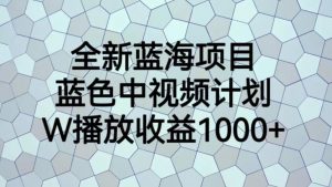 全新蓝海项目，蓝色中视频计划，1W播放量1000+【揭秘】-阳知网创资源库