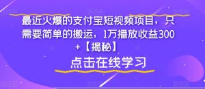 最近火爆的支付宝短视频项目，只需要简单的搬运，1万播放收益300+【揭秘】-阳知网创资源库
