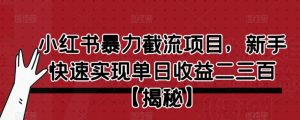 小红书暴力截流项目,新手快速实现单日收益二三百【仅揭秘】-阳知网创资源库