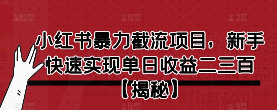 小红书暴力截流项目，新手快速实现单日收益二三百【仅揭秘】-阳知网创资源库