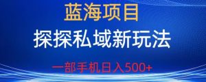 蓝海项目,探探私域新玩法,一部手机日入500+很轻松【揭秘】-阳知网创资源库