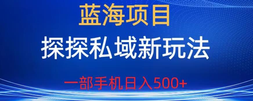 蓝海项目,探探私域新玩法,一部手机日入500+很轻松【揭秘】-阳知网创资源库