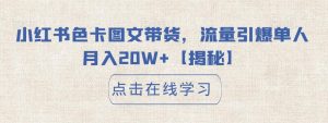 小红书色卡图文带货,流量引爆单人月入20W+【揭秘】-阳知网创资源库