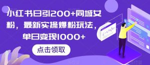 小红书日引200+同城女粉，最新实操爆粉玩法，单日变现1000+【揭秘】-阳知网创资源库