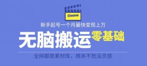 揭秘最新爆火无脑搬运故事桥段撸金项目,零基础可月入上万【全套详细玩法教程】-阳知网创资源库