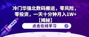 冷门华强北数码搬运,零风险,零投资,一天十分钟月入1W+【揭秘】-阳知网创资源库